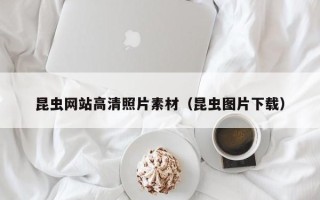 中国香港昆虫网站高清照片素材（昆虫图片下载）
